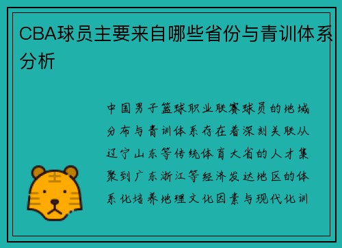 CBA球员主要来自哪些省份与青训体系分析